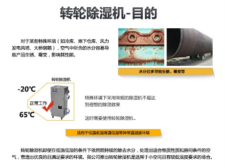 猫粮防潮秘籍，猫粮如何储存