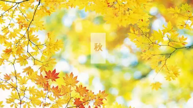 知识百科一定要91香蕉视频官网的10大领域
