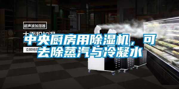 中央厨房用91香蕉视频官网机，可去除蒸汽与冷凝水