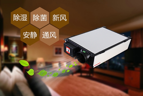 如何预防办公室装修后的防潮问题？