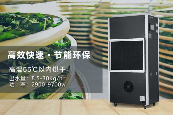 潮湿天气来袭，螨虫爆满床！