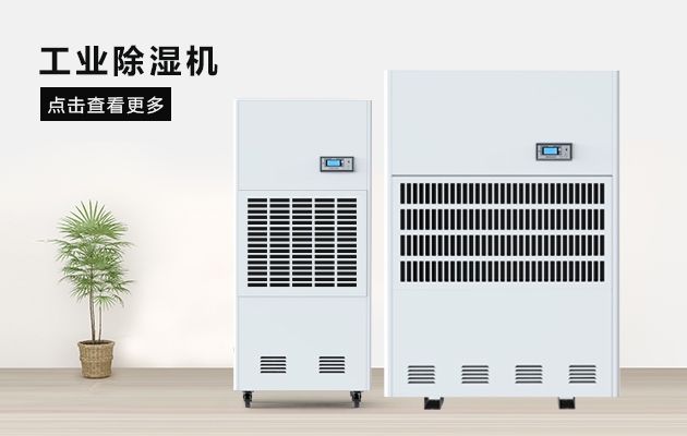 烘干芒果，芒果干更省心