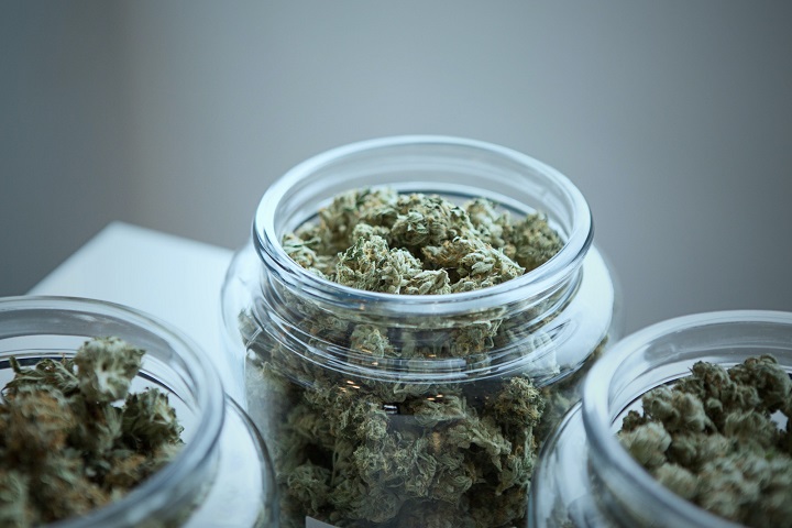 如何让中草药烘干过程“药性”不流失？