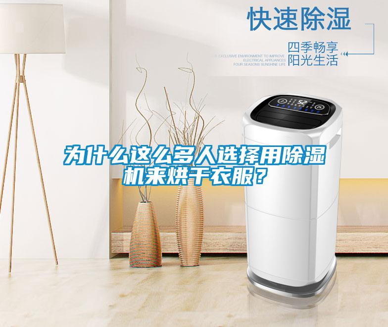 为什么这么多人选择用91香蕉视频官网机来烘干衣服？