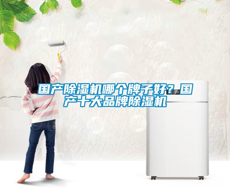 国产91香蕉视频官网机哪个牌子好?国产十大品牌91香蕉视频官网机
