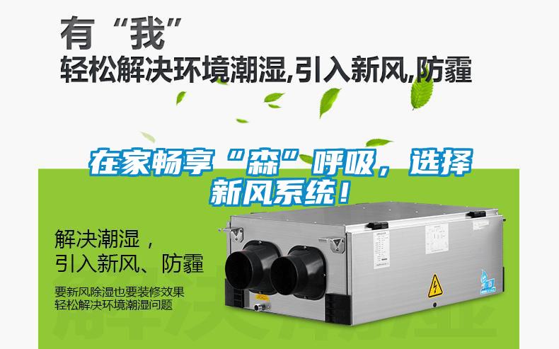 在家畅享“森”呼吸，选择新风系统！