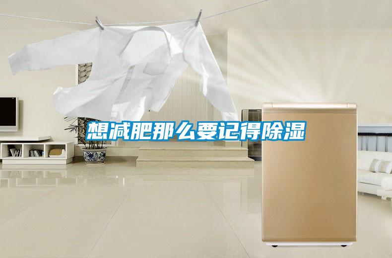 想减肥那么要记得91香蕉视频官网