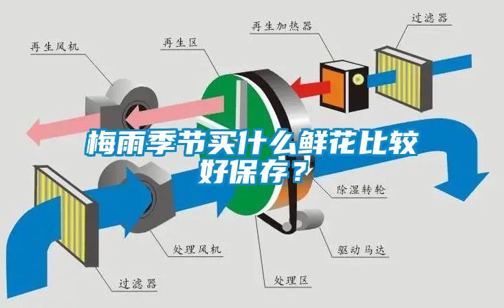 梅雨季节买什么鲜花比较好保存？