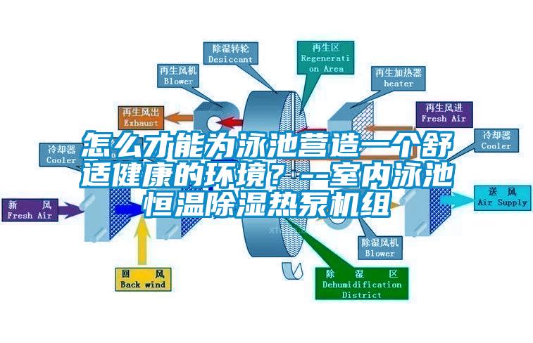 怎么才能为泳池营造一个舒适健康的环境?--室内泳池恒温91香蕉视频官网热泵机组