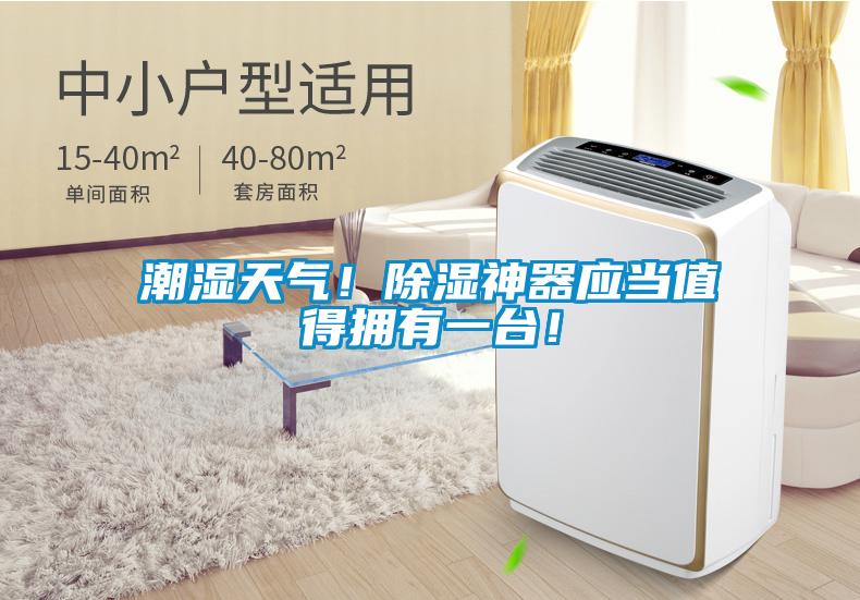 潮湿天气！91香蕉视频官网神器应当值得拥有一台！