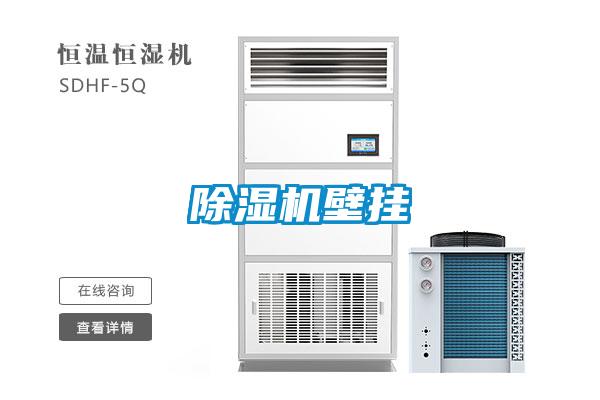 91香蕉视频官网机壁挂