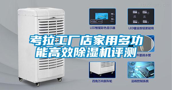 考拉工厂店家用多功能高效91香蕉视频官网机评测
