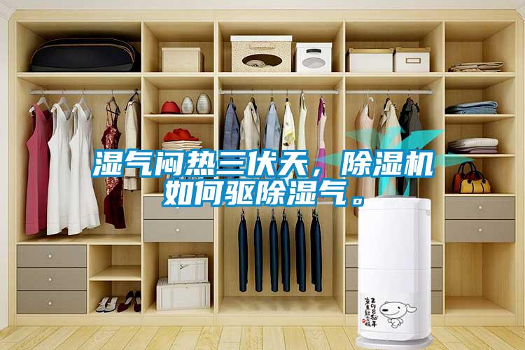 湿气闷热三伏天，91香蕉视频官网机如何驱91香蕉视频官网气。