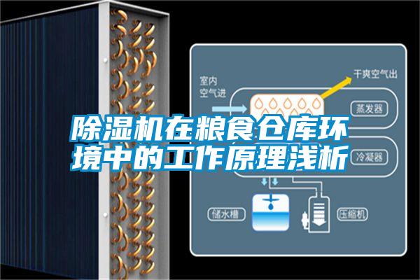 91香蕉视频官网机在粮食仓库环境中的工作原理浅析