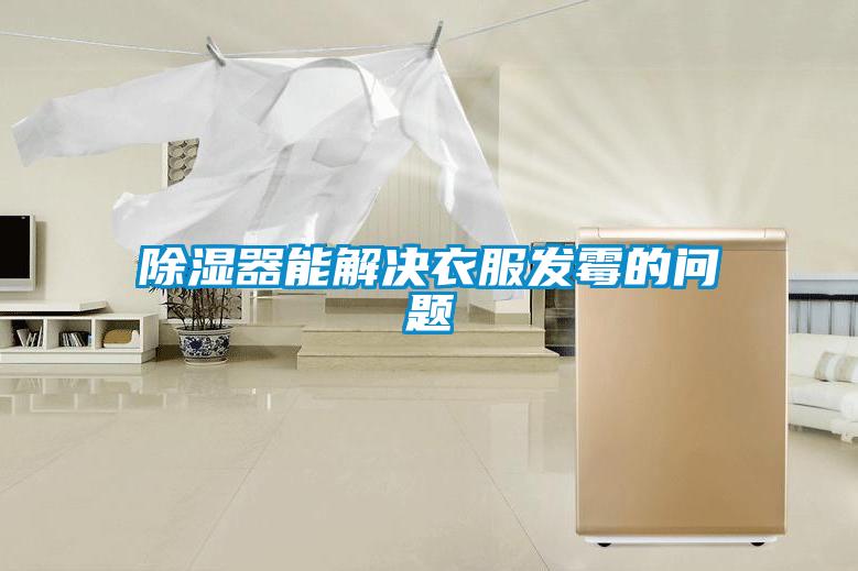 91香蕉视频官网器能解决衣服发霉的问题