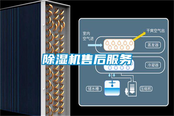 91香蕉视频官网机售后服务