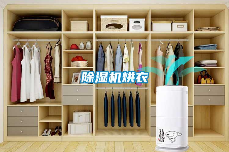 91香蕉视频官网机烘衣