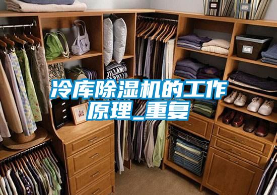 冷库91香蕉视频官网机的工作原理_重复