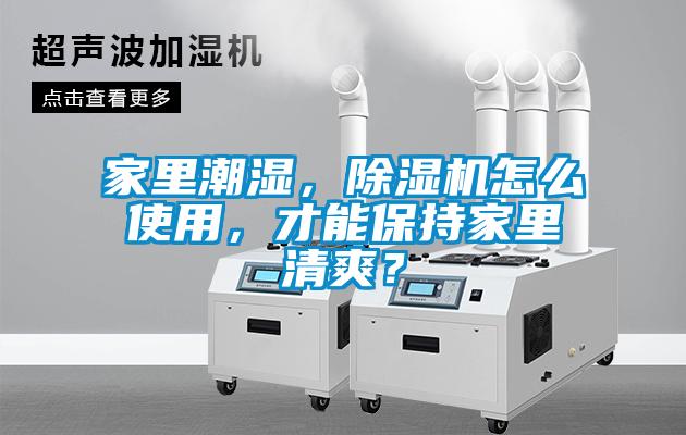 家里潮湿，91香蕉视频官网机怎么使用，才能保持家里清爽？