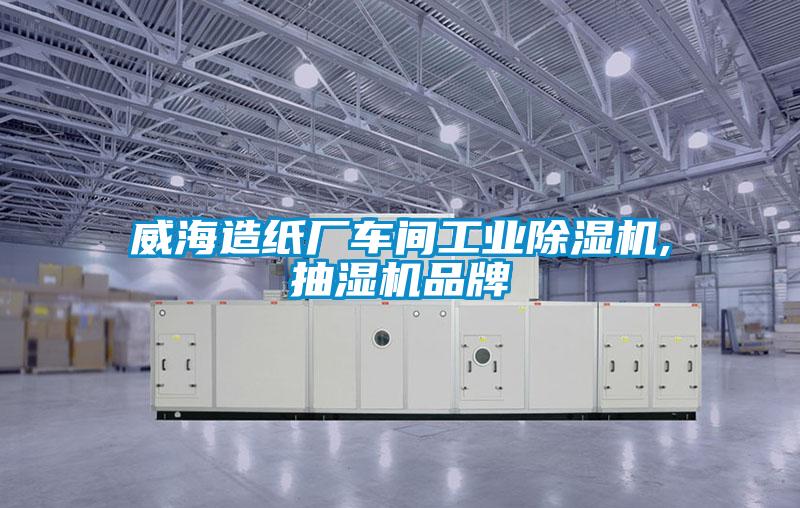 威海造纸厂车间工业91香蕉视频官网机,抽湿机品牌