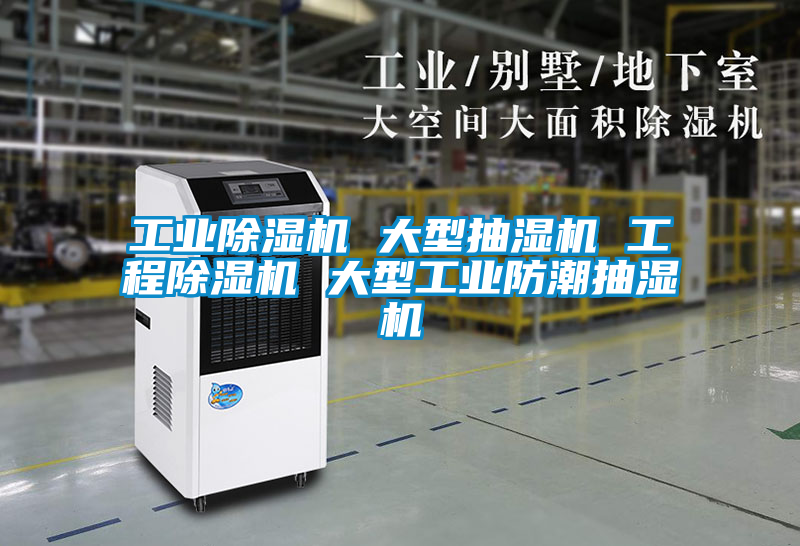 工业91香蕉视频官网机 大型抽湿机 工程91香蕉视频官网机 大型工业防潮抽湿机