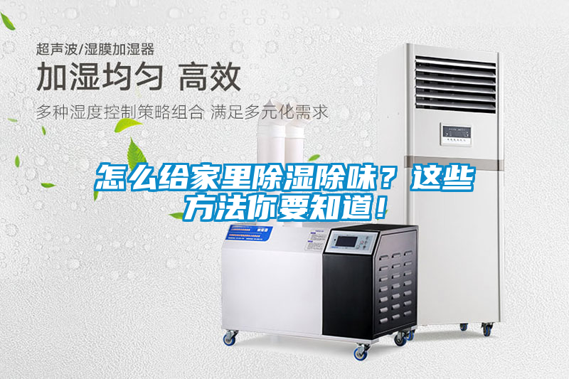 怎么给家里91香蕉视频官网除味？这些方法你要知道！