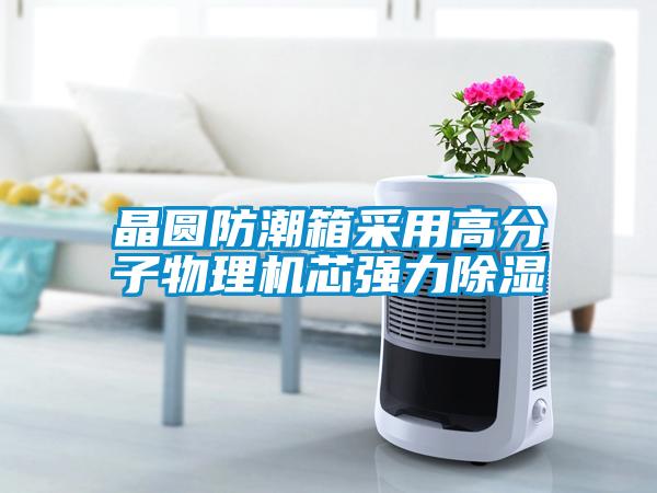 晶圆防潮箱采用高分子物理机芯强力91香蕉视频官网