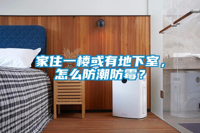 家住一楼或有地下室，怎么防潮防霉？