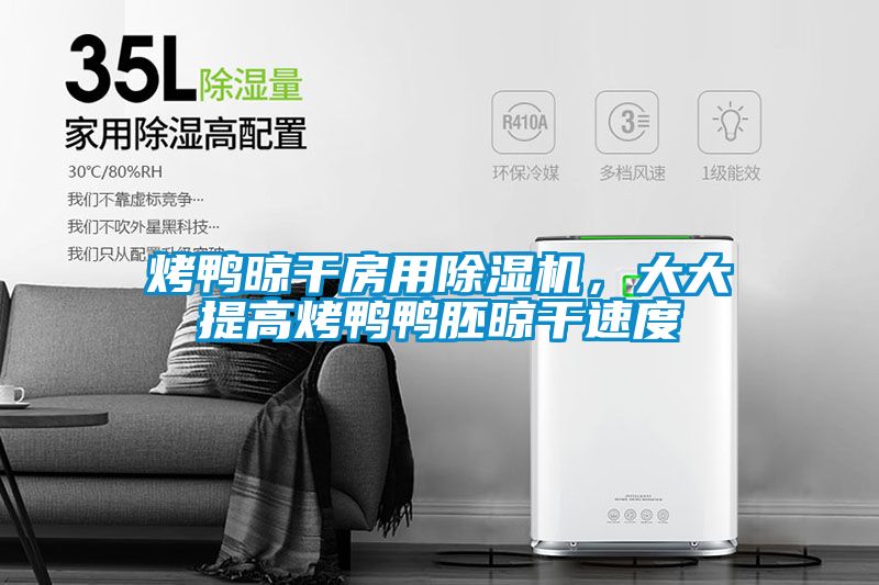 烤鸭晾干房用91香蕉视频官网机，大大提高烤鸭鸭胚晾干速度