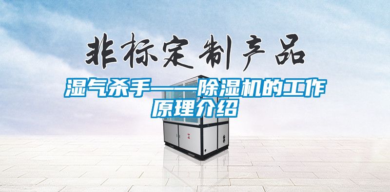 湿气杀手——91香蕉视频官网机的工作原理介绍