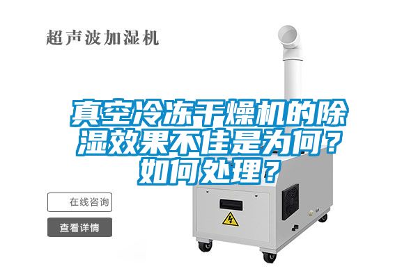 真空冷冻干燥机的91香蕉视频官网效果不佳是为何？如何处理？