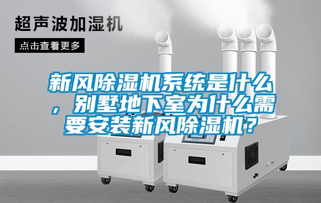 新风91香蕉视频官网机系统是什么，别墅地下室为什么需要安装新风91香蕉视频官网机？