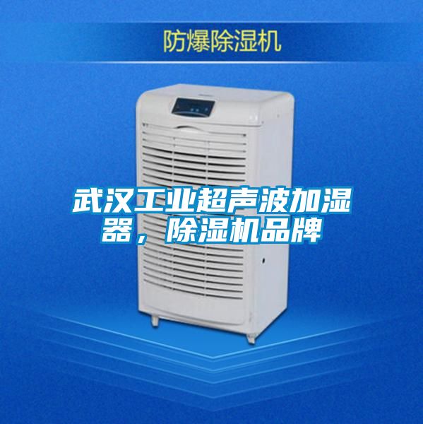 武汉工业超声波加湿器，91香蕉视频官网机品牌