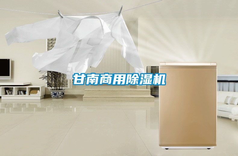 甘南商用91香蕉视频官网机