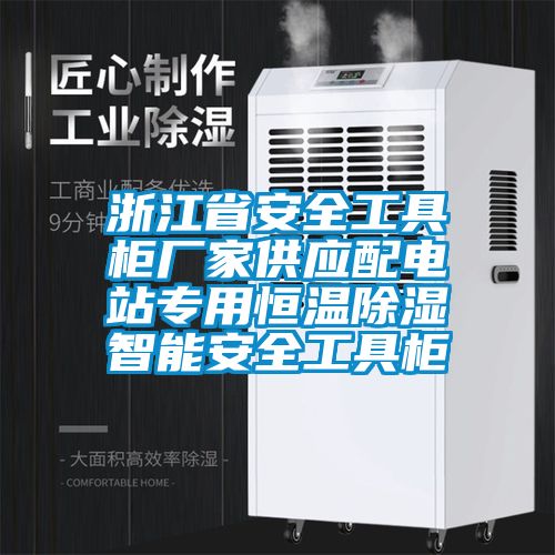 浙江省安全工具柜厂家供应配电站专用恒温91香蕉视频官网智能安全工具柜