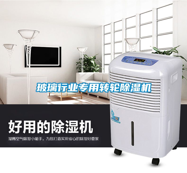玻璃行业专用转轮91香蕉视频官网机
