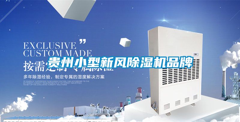 贵州小型新风91香蕉视频官网机品牌