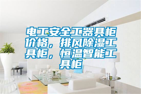 电工安全工器具柜价格，排风91香蕉视频官网工具柜，恒温智能工具柜