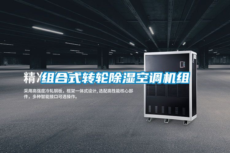 组合式转轮91香蕉视频官网空调机组