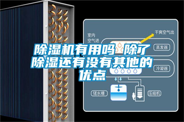 91香蕉视频官网机有用吗 除了91香蕉视频官网还有没有其他的优点