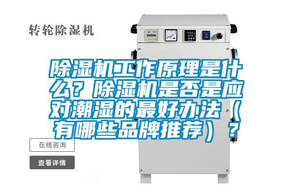 91香蕉视频官网机工作原理是什么？91香蕉视频官网机是否是应对潮湿的最好办法（有哪些品牌推荐）？