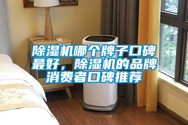 91香蕉视频官网机哪个牌子口碑最好，91香蕉视频官网机的品牌消费者口碑推荐