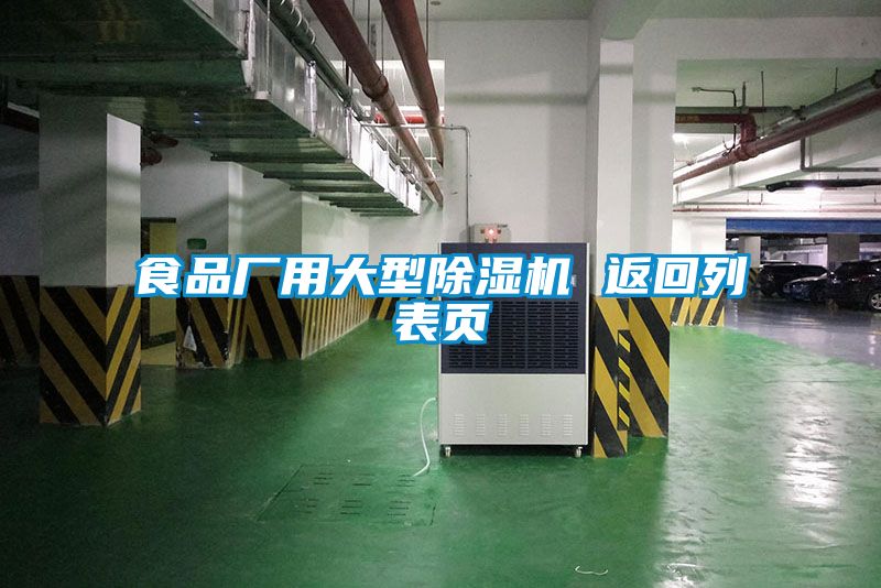 食品厂用大型91香蕉视频官网机 返回列表页