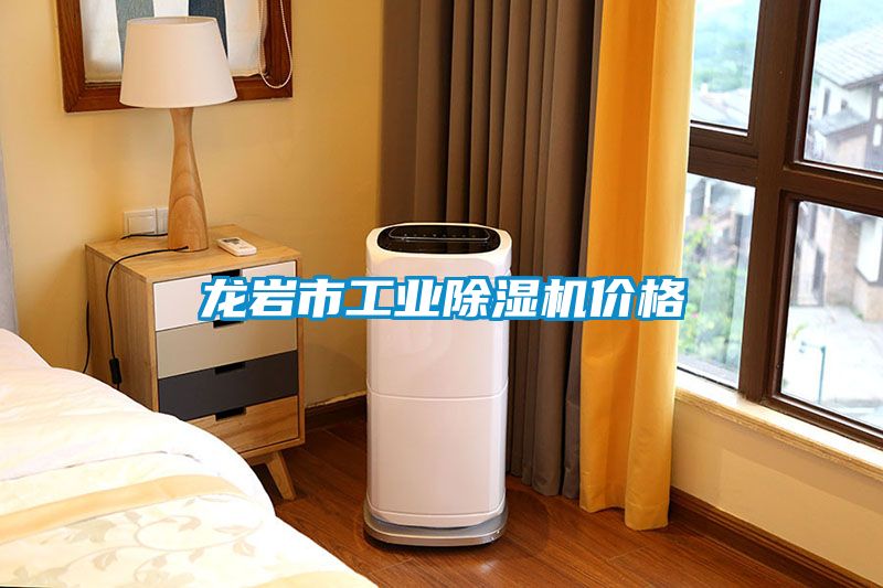 龙岩市工业91香蕉视频官网机价格
