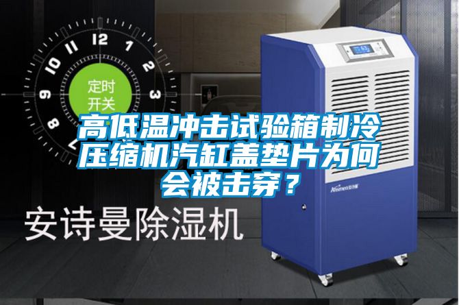 高低温冲击试验箱制冷压缩机汽缸盖垫片为何会被击穿？