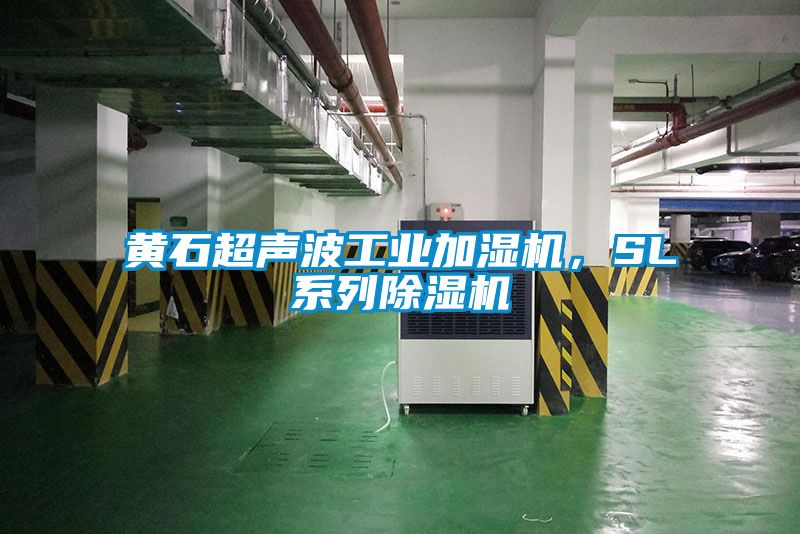 黄石超声波工业加湿机，SL系列91香蕉视频官网机