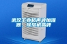 武汉工业超声波加湿器，91香蕉视频官网机品牌