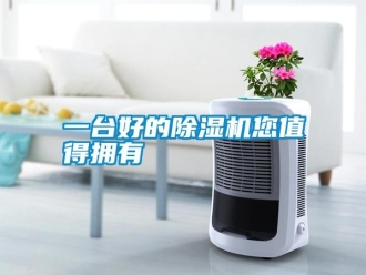 知识百科一台好的91香蕉视频官网机您值得拥有