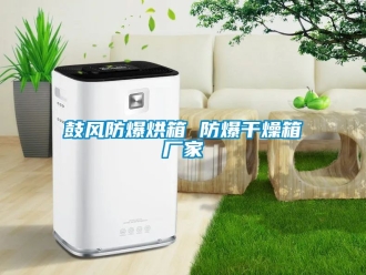企业香蕉视频APP下载IOS鼓风防爆烘箱 防爆干燥箱厂家