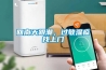 回南天跟潮，过敏湿疹找上门